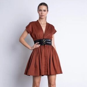 Karina Grimaldi Rust Mini Dress. NWT.